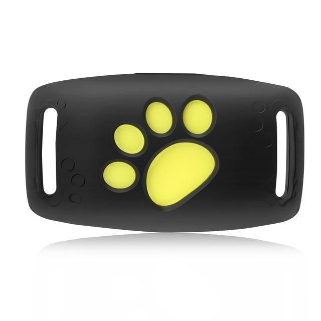 Suivi GPS pour Chat | Localisation en Temps Réel et Fiable