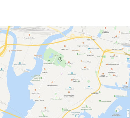 Suivi GPS pour Chat | Localisation en Temps Réel et Fiable